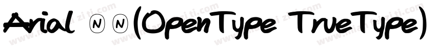 Arial 常规(OpenType TrueType) (Versi字体转换